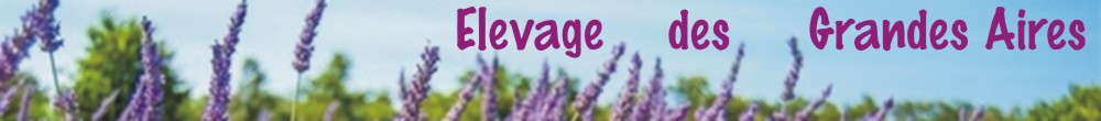 Elevage des Grandes Aires